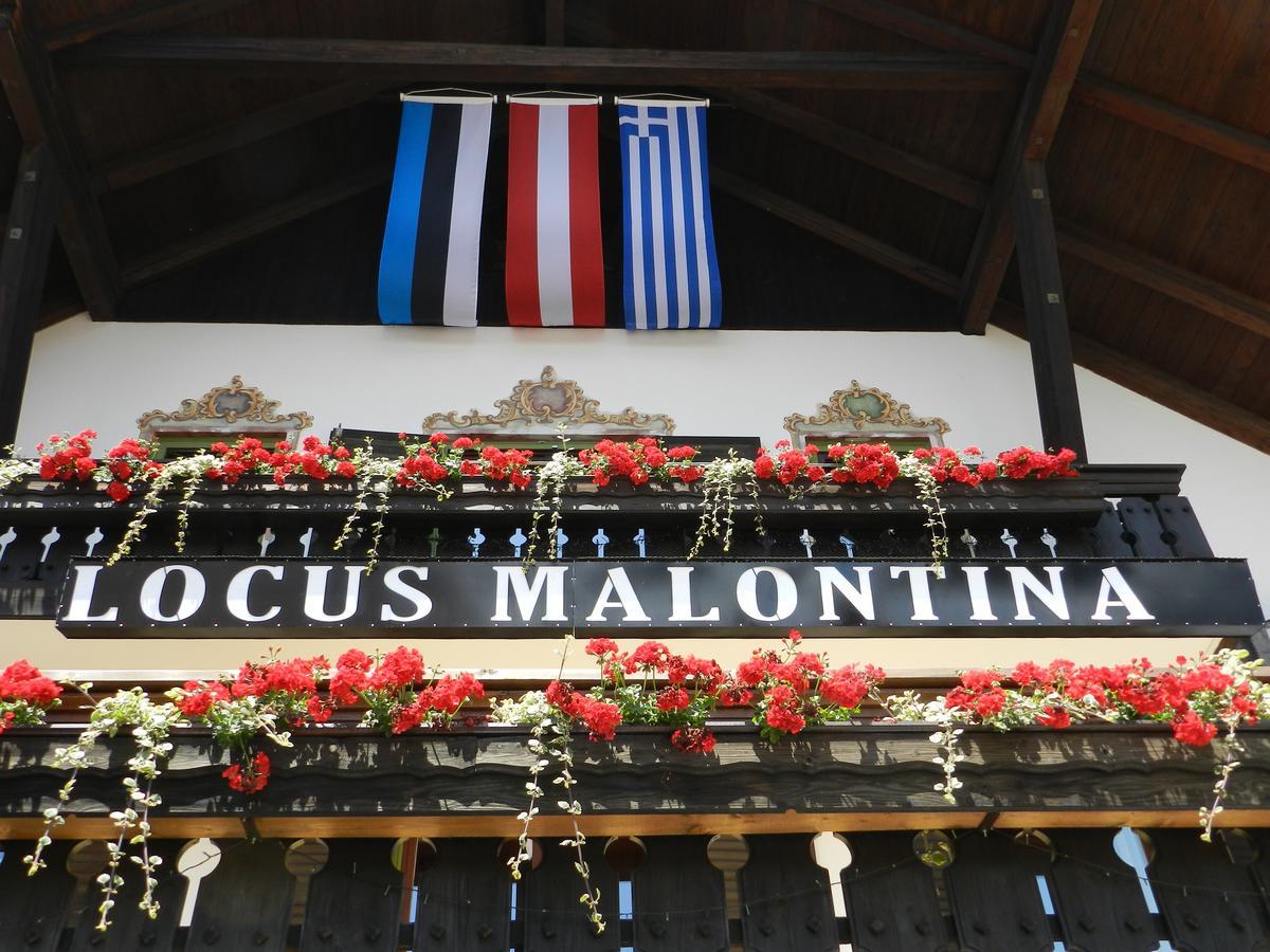 Locus Malontina Hotel Gmund in Karnten Exterior photo